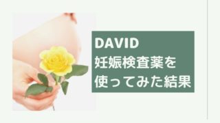 DAVID　妊娠検査薬　フライング